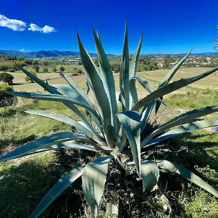Poolside - Sleeps 24 Villa Spoleto