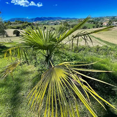 Poolside - Sleeps 24 Spoleto