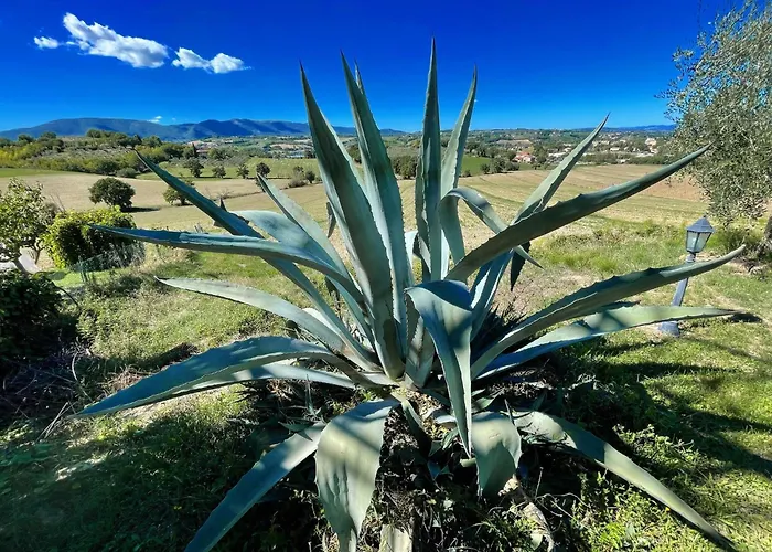 Poolside - Sleeps 24 Villa Spoleto