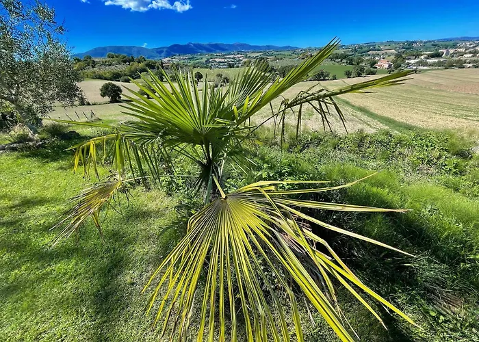 Poolside - Sleeps 24 Spoleto